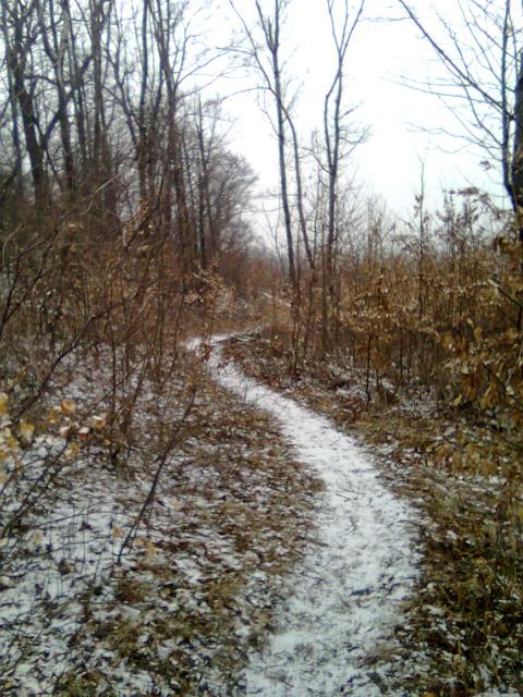 201003 032.jpg